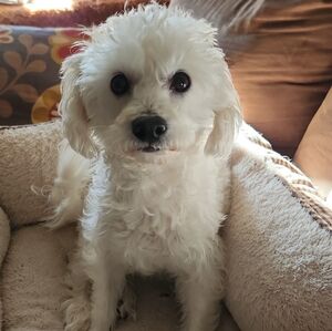 ♻️ Welcome to my closet!